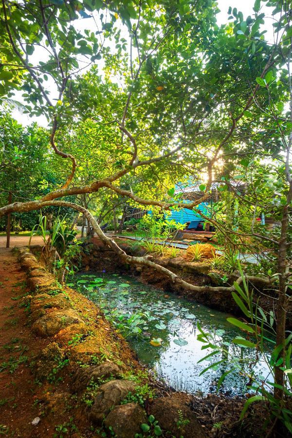 Villa Ovita ตัลป์ ภายนอก รูปภาพ