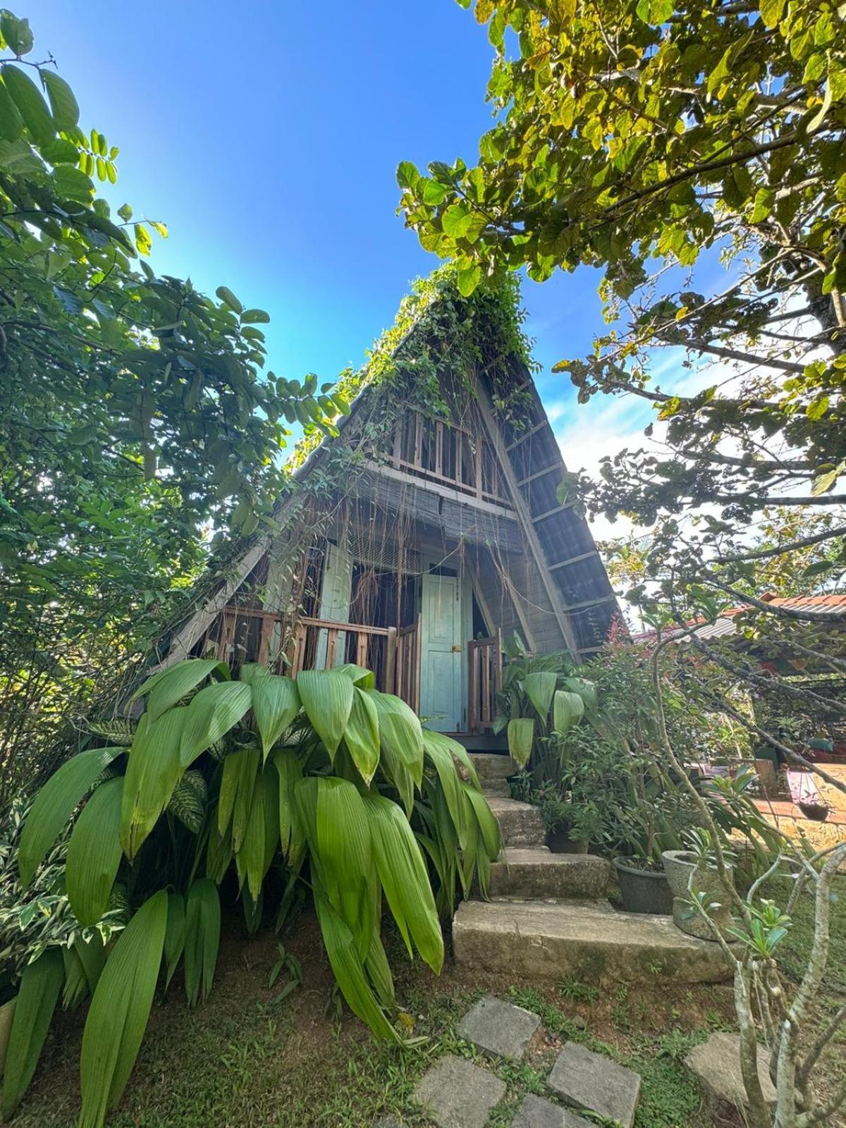 Villa Ovita ตัลป์ ภายนอก รูปภาพ
