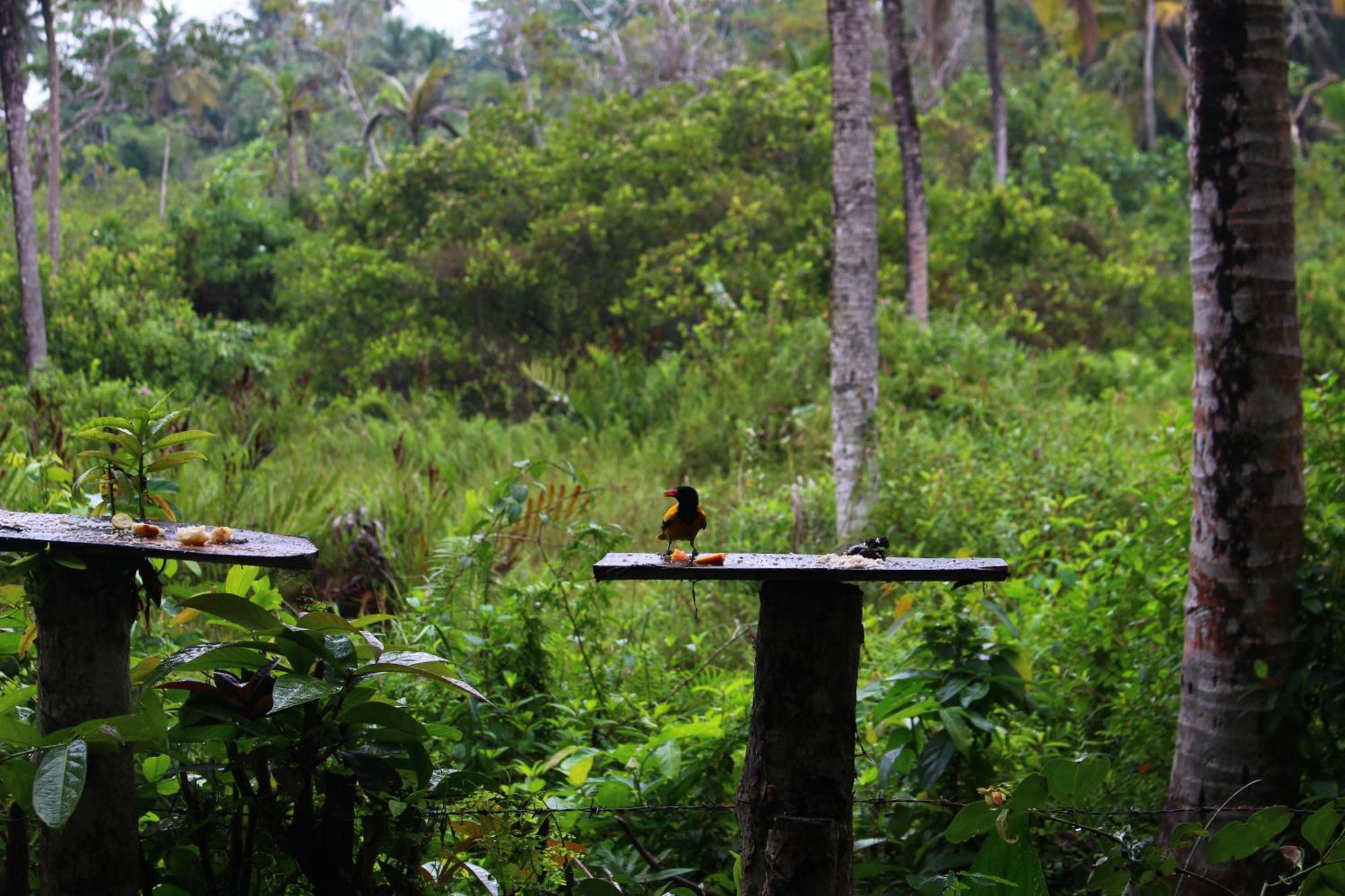 Villa Ovita ตัลป์ ภายนอก รูปภาพ